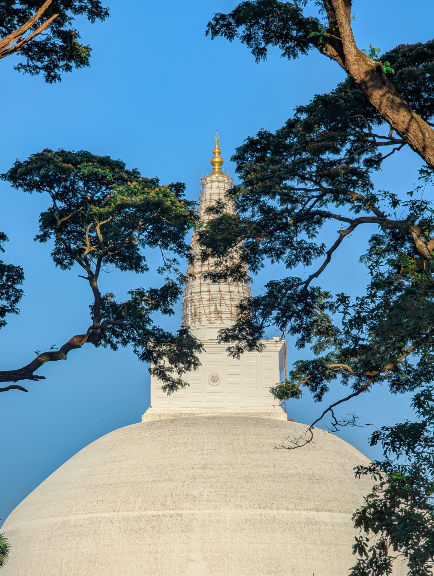 Classic Sri Lanka tour in Sri Lanka