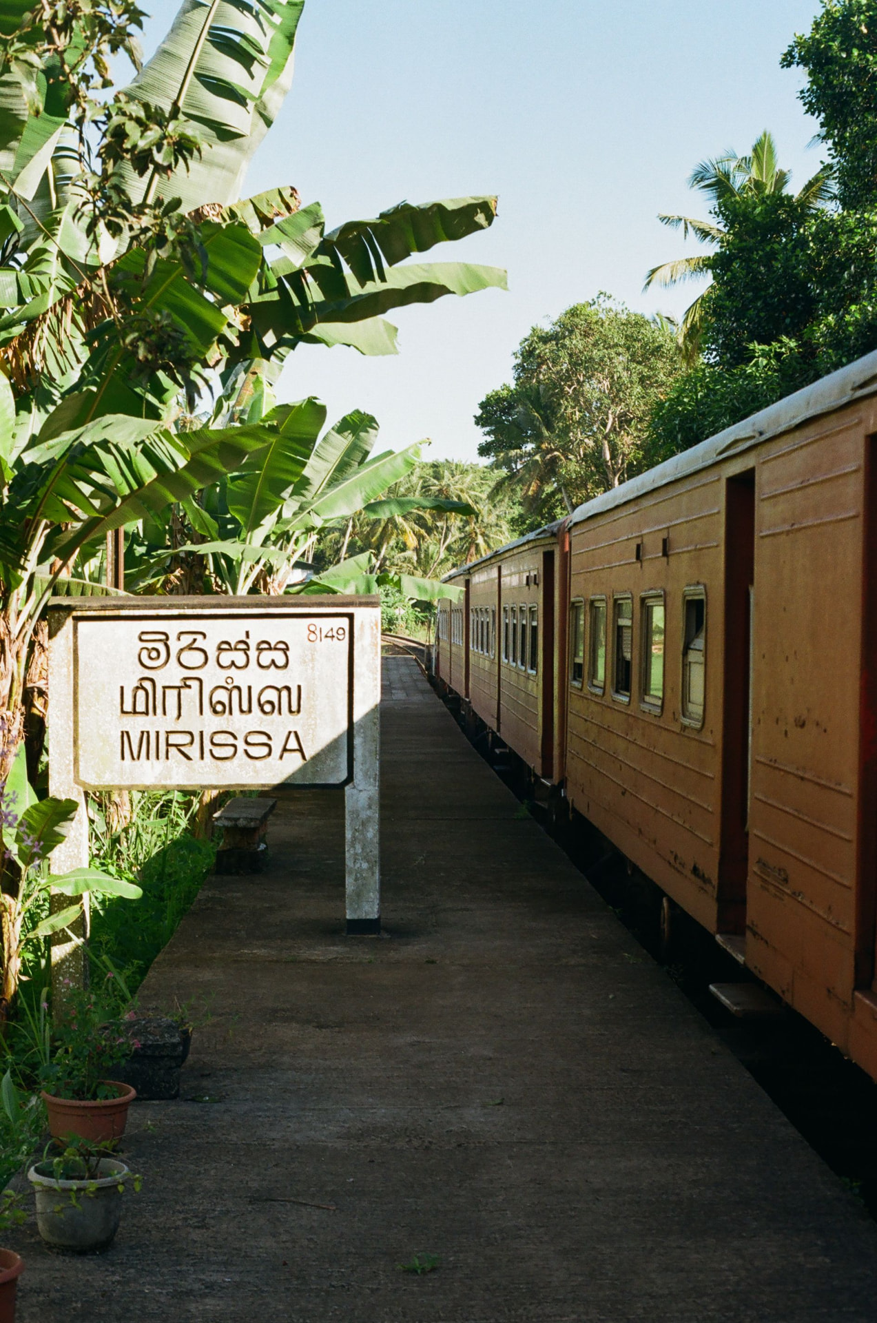 Mirissa, Sri Lanka